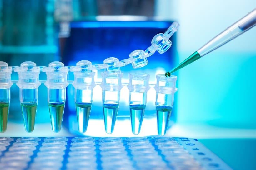 Pipette adding liquid to microcentrifuge tubes during biopharma laboratory sample testing and research analysis in a clinical development setting